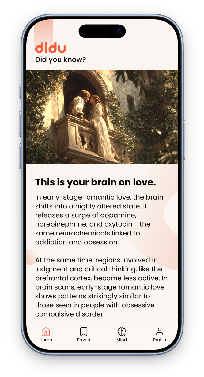 This is your brain on love
