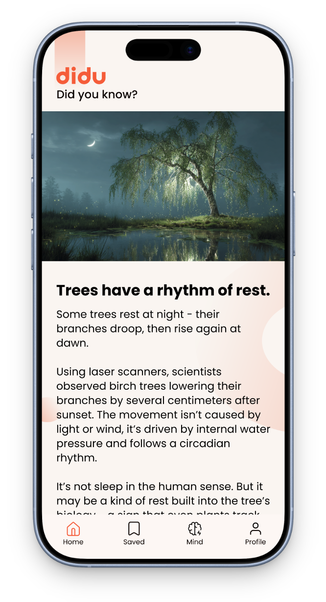 Trees have a rhythm of rest